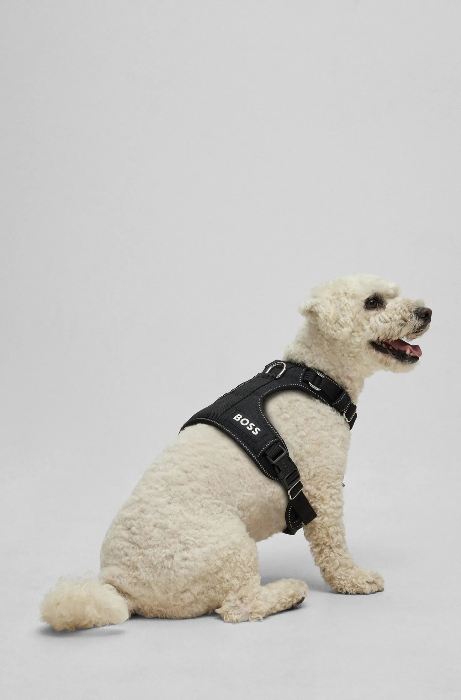 Dog harness with padding