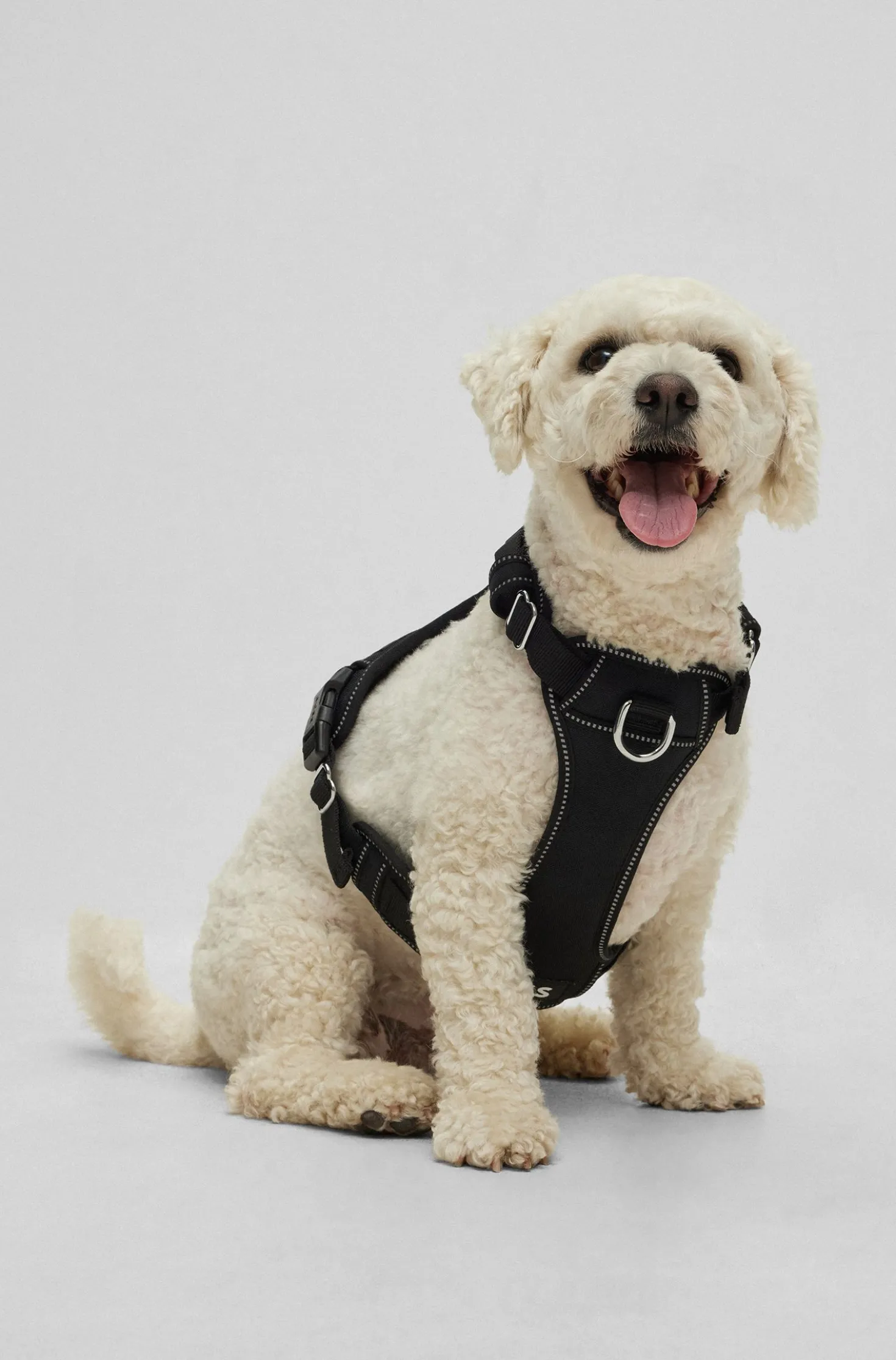 Dog harness with padding