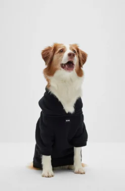 Dog hoodie in a cotton blend with contrast logo