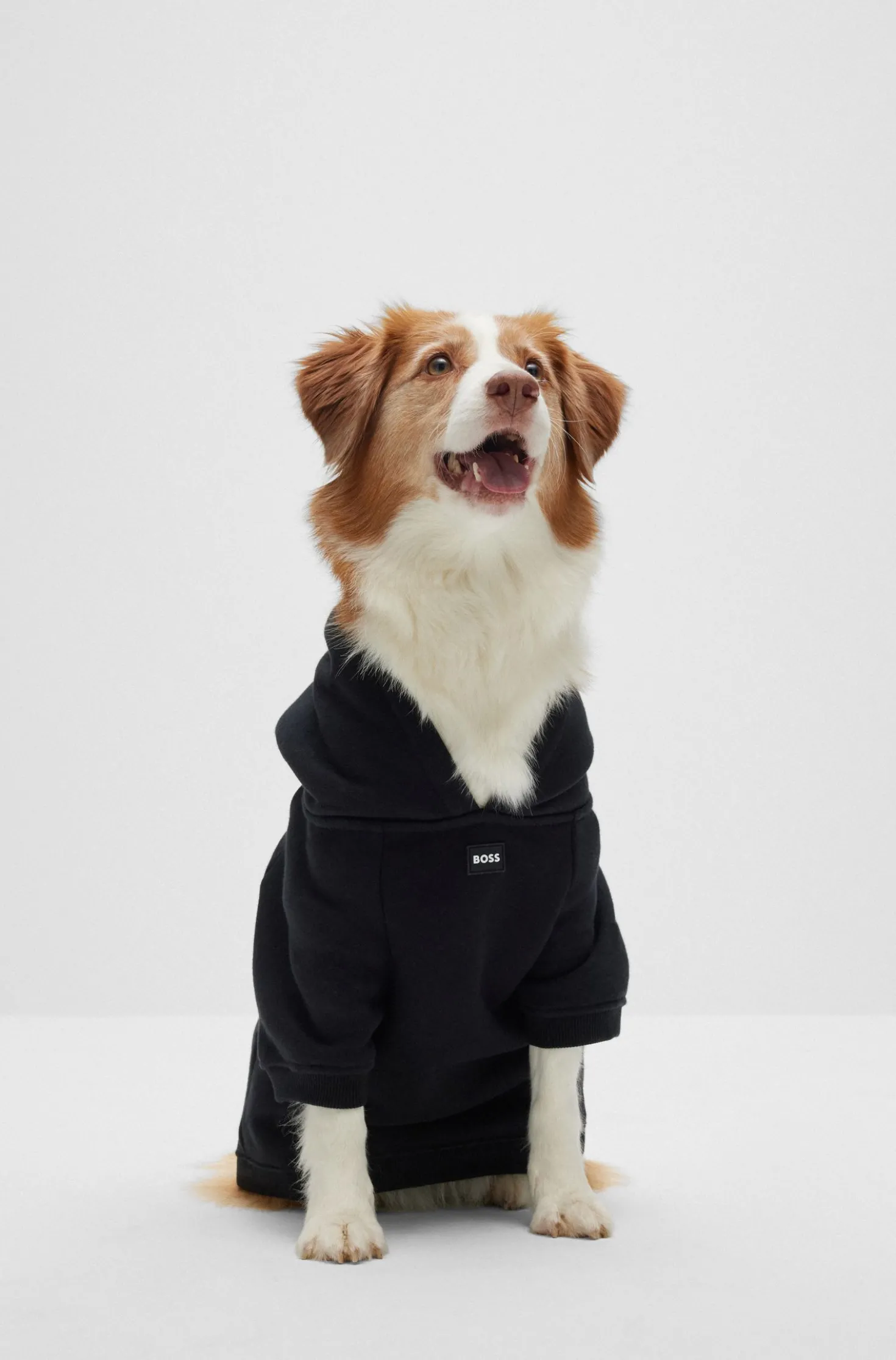 Dog hoodie in a cotton blend with contrast logo