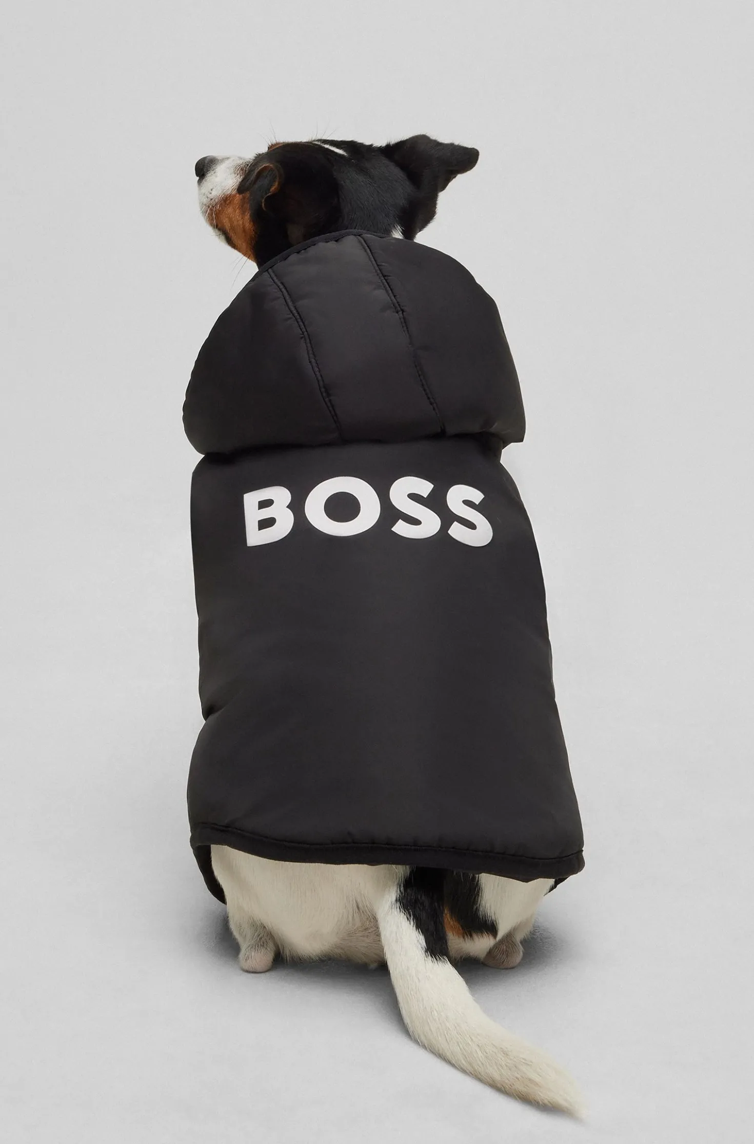 Dog lightweight jacket with logo detailing