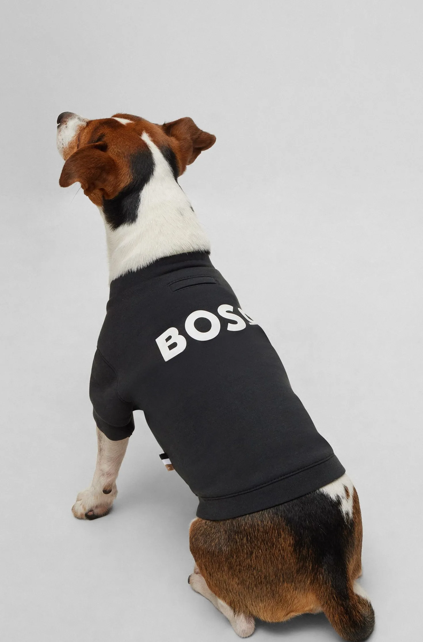 Dog T-shirt in cotton-blend jersey