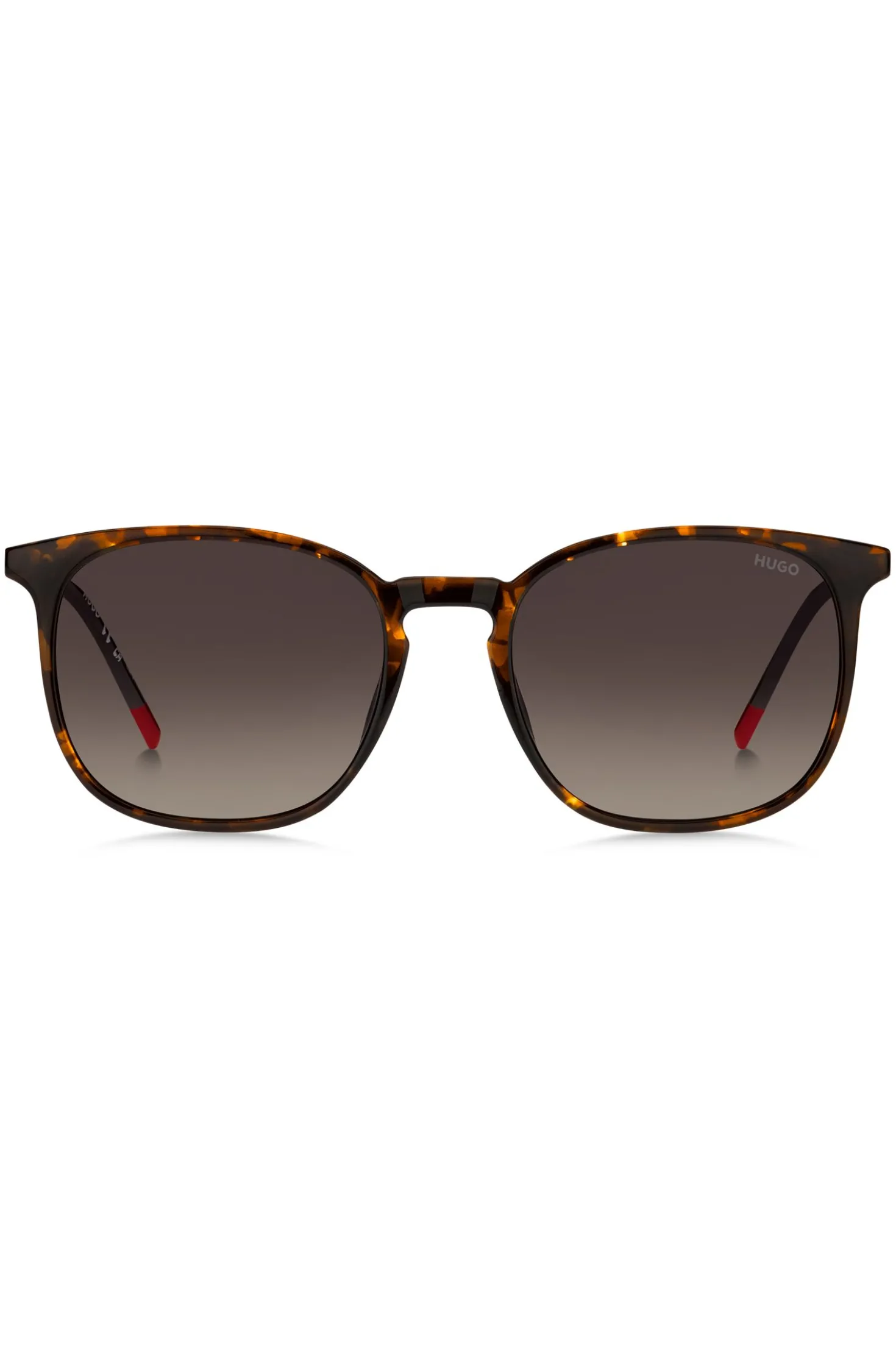 Havana sunglasses with gold-tone temples