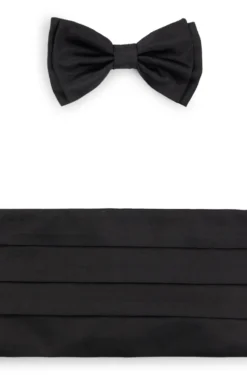 Silk bow tie and cummerbund gift set